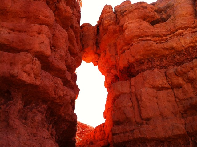 Red Canyon