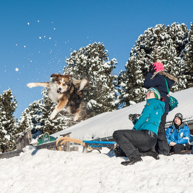 Dezember2013 (18 von 19)