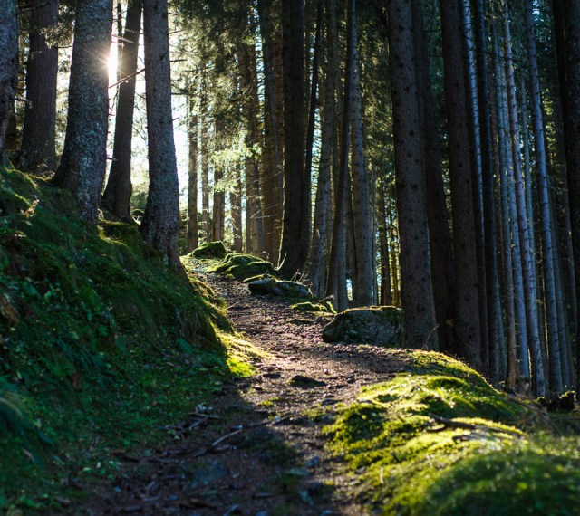 November2013 (3 von 13)