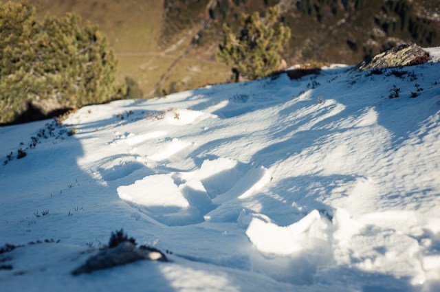 November2013 (8 von 13)