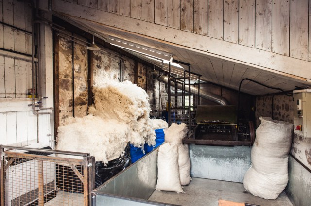 schottland_findhorn_and_spey-6947