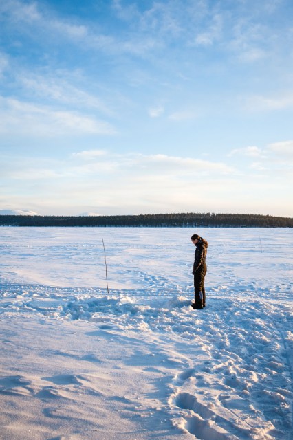 Finland_Lapland_Hut_Mushing-2386