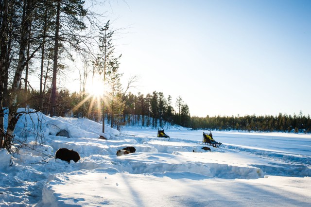 Finland_Lapland_Hut_Mushing-2513