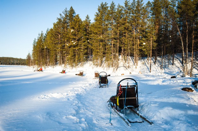 Finland_Lapland_Hut_Mushing-2529