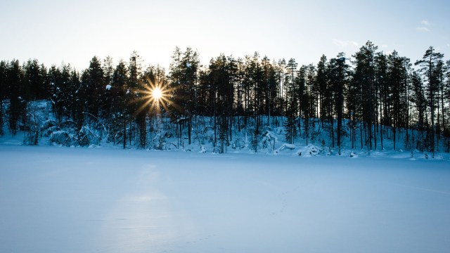 Finland_Lapland_Hut_Mushing-2579