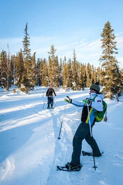 finland_lapland_snowshoe_linkukero_hiking-2670