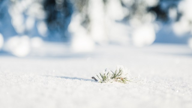 finland_lapland_snowshoe_linkukero_hiking-2793