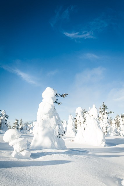finland_lapland_snowshoe_linkukero_hiking-2801