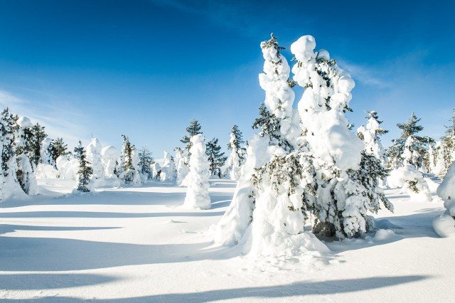 finland_lapland_snowshoe_linkukero_hiking-2807