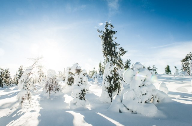 finland_lapland_snowshoe_linkukero_hiking-2813