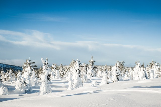 finland_lapland_snowshoe_linkukero_hiking-2845
