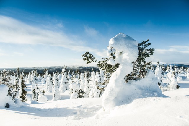 finland_lapland_snowshoe_linkukero_hiking-2855