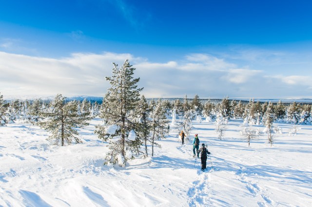 finland_lapland_snowshoe_linkukero_hiking-2989