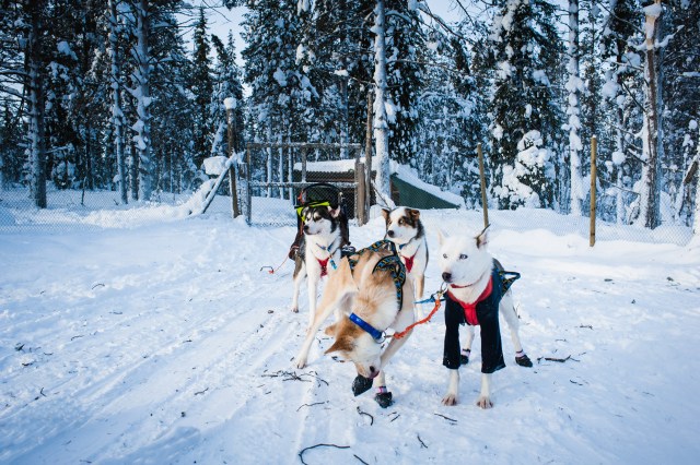 finnland-lappland--2