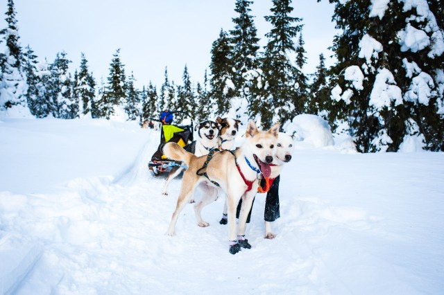 finnland-lappland-2041