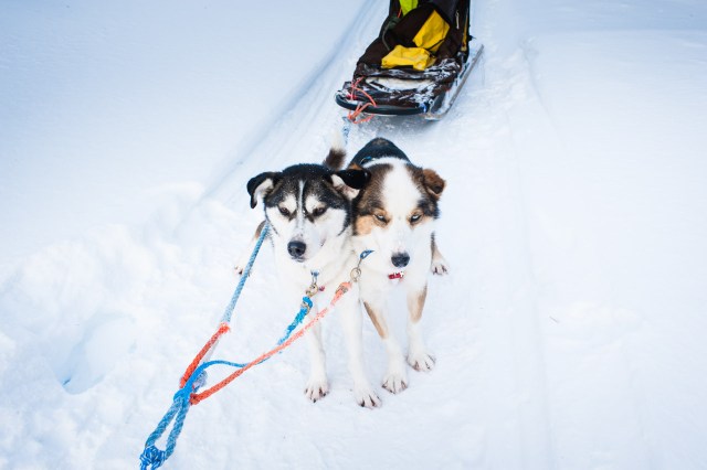 finnland-lappland-2068