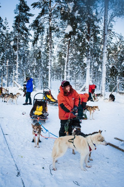 finnland-lappland-2081
