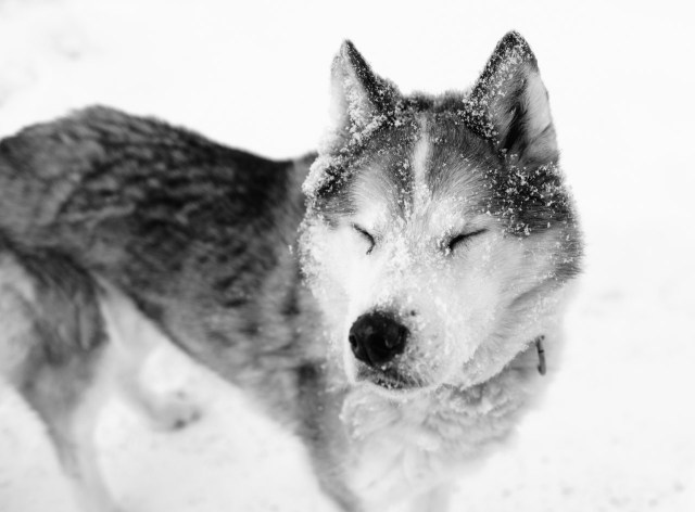 finnland-lappland-2113