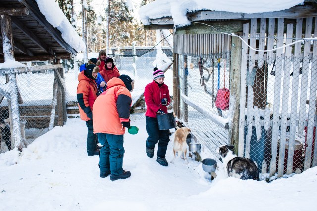 finnland-lappland-2136