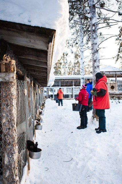 finnland-lappland-2144