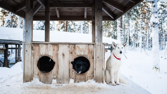 finnland-lappland-2160