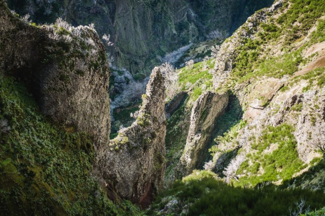 Madeira_Pico_Ruivo-6513