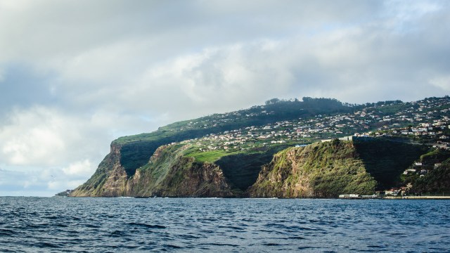 madeira_whalewatching_calheta_lobosonda-6391