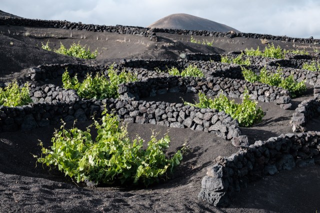 ES_Spanien_Spain_Kanarische_Inseln_Canary_Islands_Lanzarote-0177