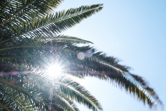 ES_Spanien_Spain_Kanarische_Inseln_Canary_Islands_Lanzarote-0245