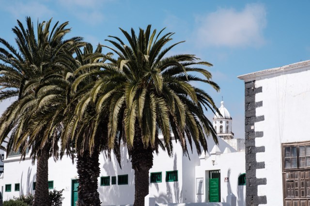 ES_Spanien_Spain_Kanarische_Inseln_Canary_Islands_Lanzarote-0310