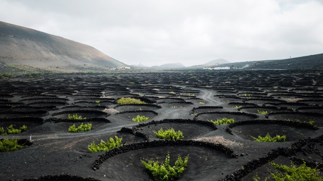 ES_Spanien_Spain_Kanarische_Inseln_Canary_Islands_Lanzarote-0531-2